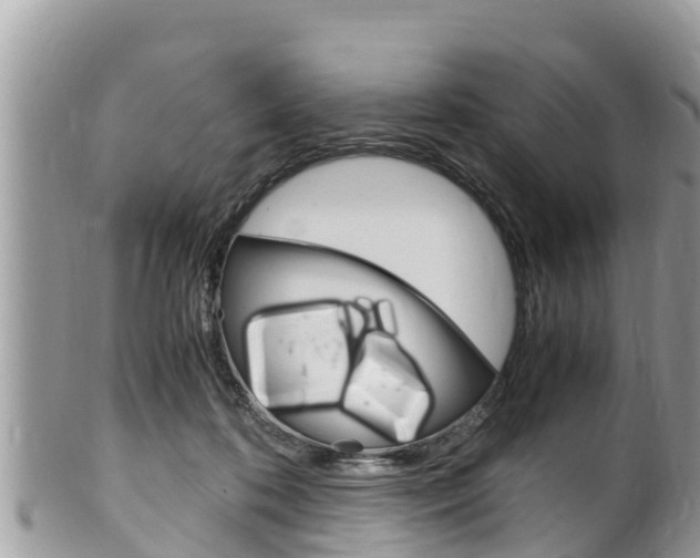 X0000100490316200806130801