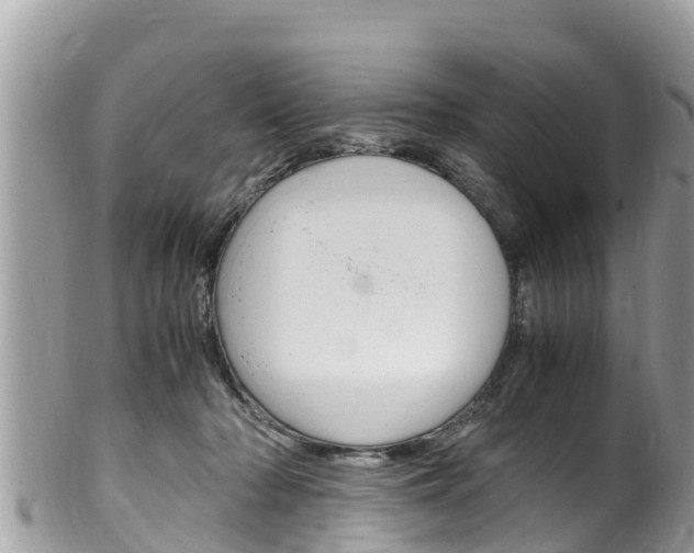 X0000100490318200806130801