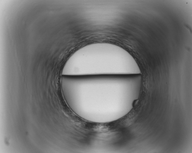 X0000100490319200806130801