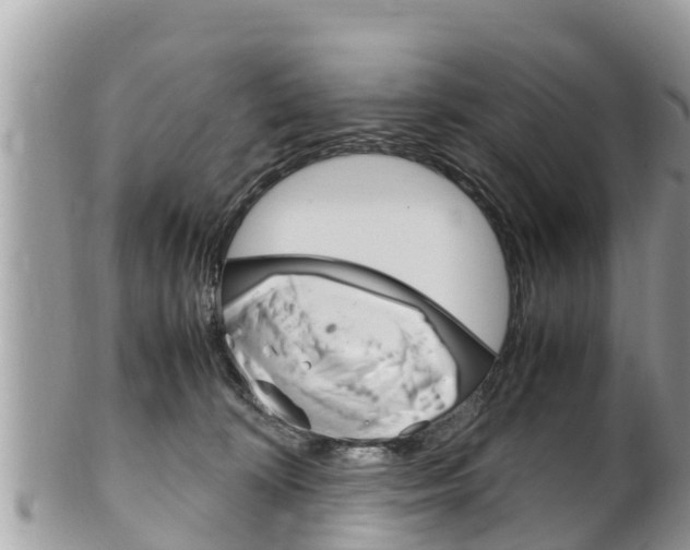 X0000100490324200806130801