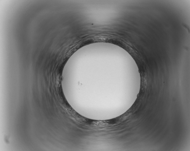 X0000100490331200806130801
