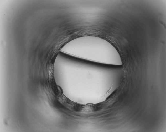 X0000100490335200806130801