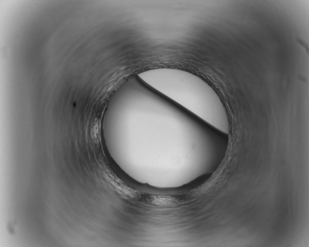 X0000100490336200806130801