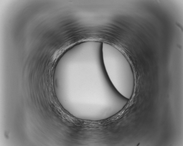 X0000100490337200806130800