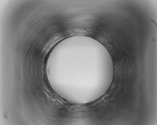 X0000100490338200806130800