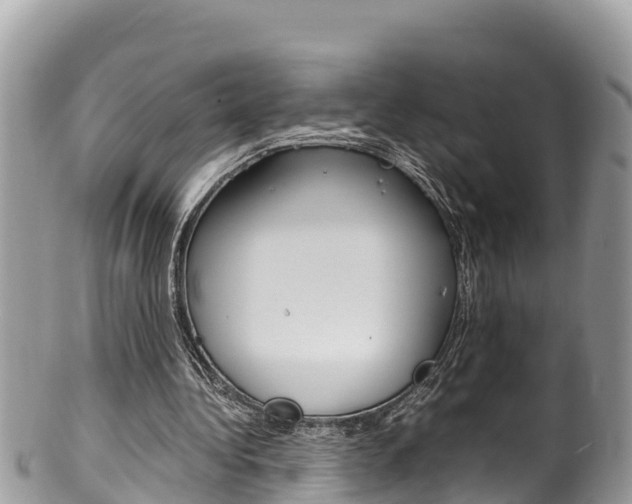 X0000100490340200806130800