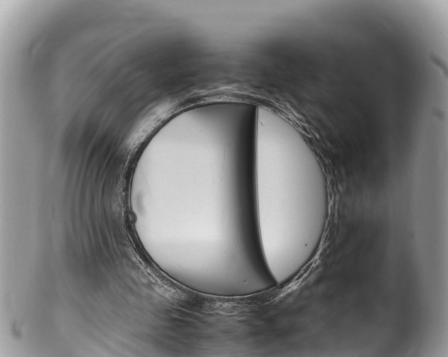 X0000100490341200806130800