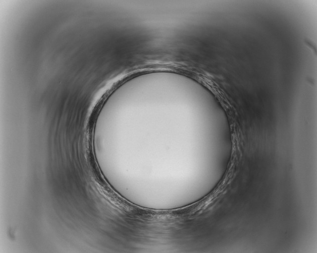 X0000100490342200806130800