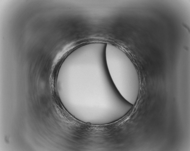 X0000100490343200806130800