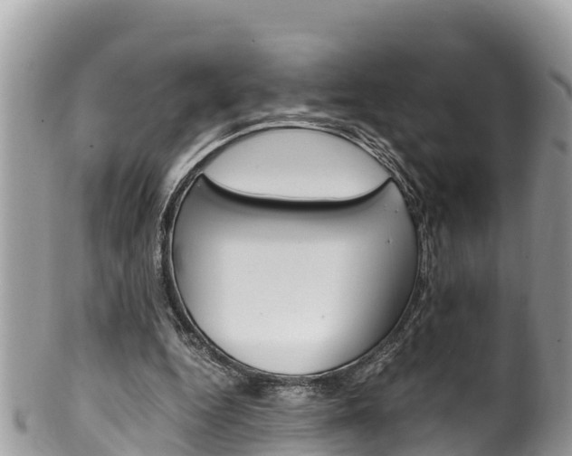 X0000100490344200806130800