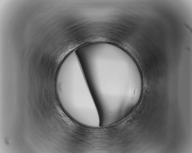 X0000100490345200806130800