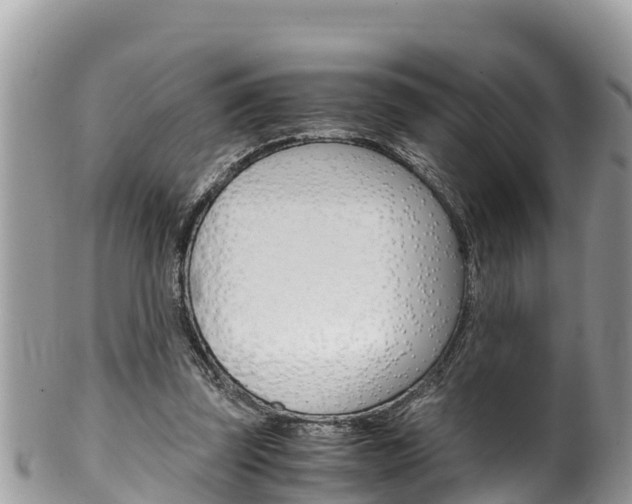 X0000100490347200806130800