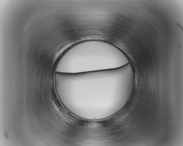 X0000100490348200806130800