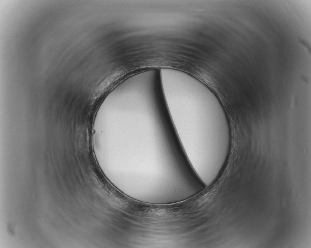 X0000100490349200806130800