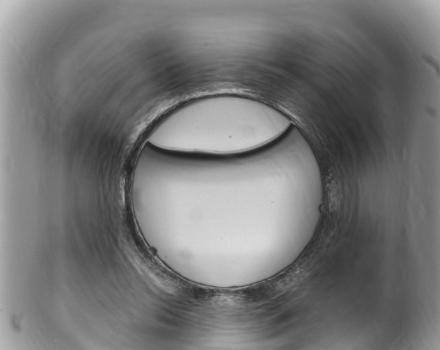 X0000100490350200806130800