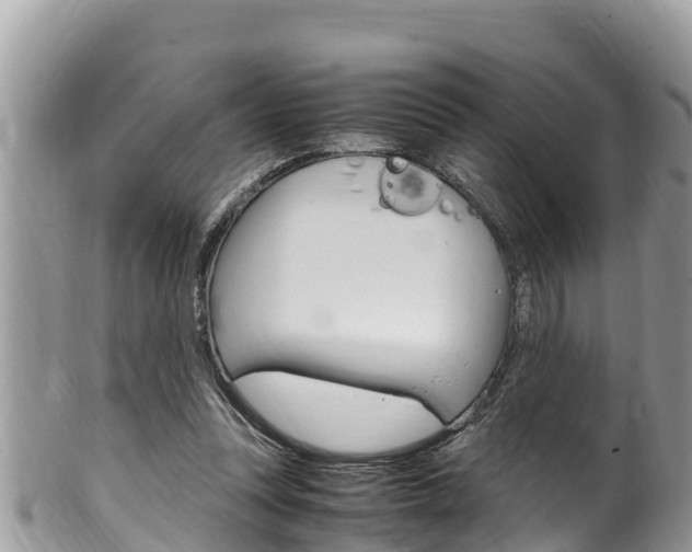 X0000100490351200806130800