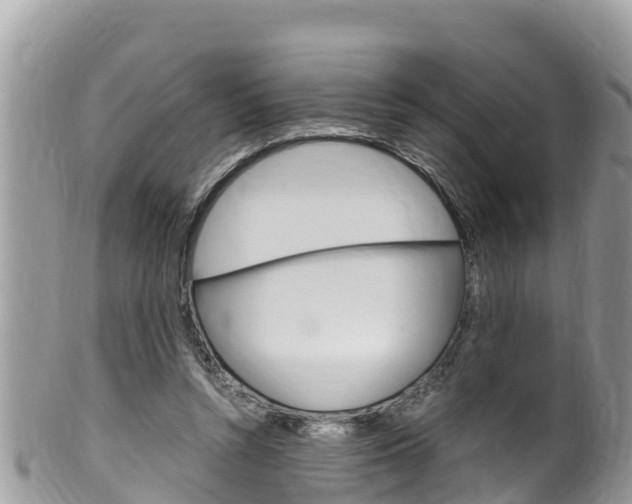 X0000100490352200806130800