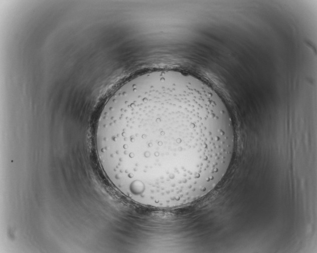 X0000100490354200806130800