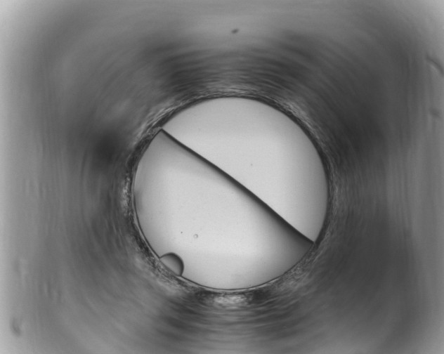 X0000100490357200806130800