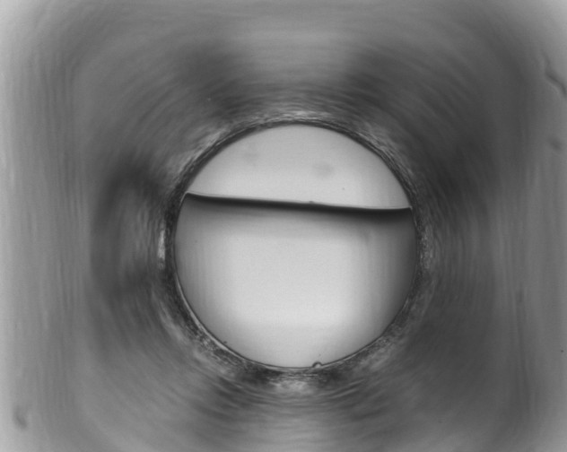 X0000100490358200806130800
