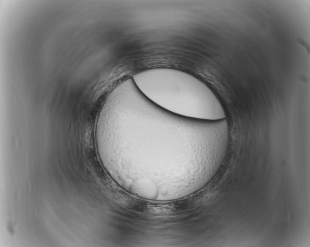 X0000100490359200806130800