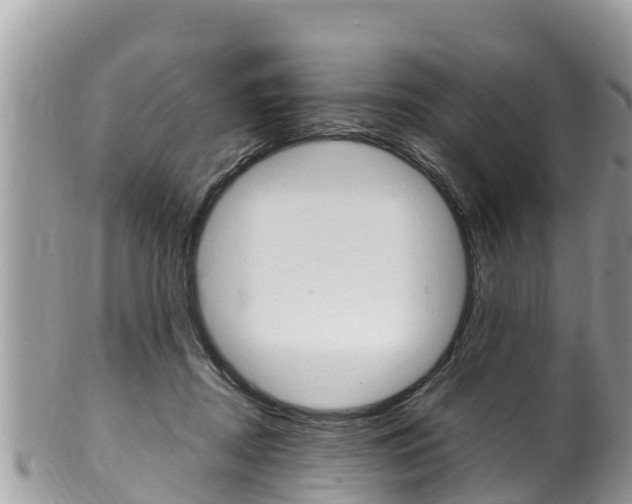 X0000100490362200806130800