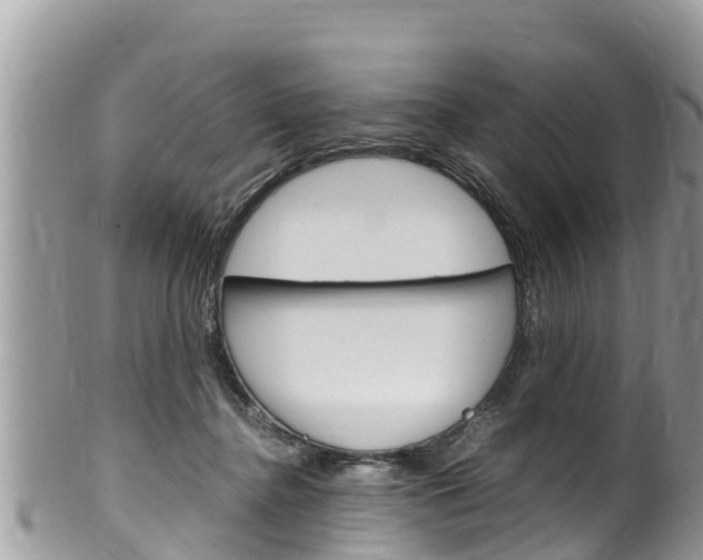 X0000100490364200806130801