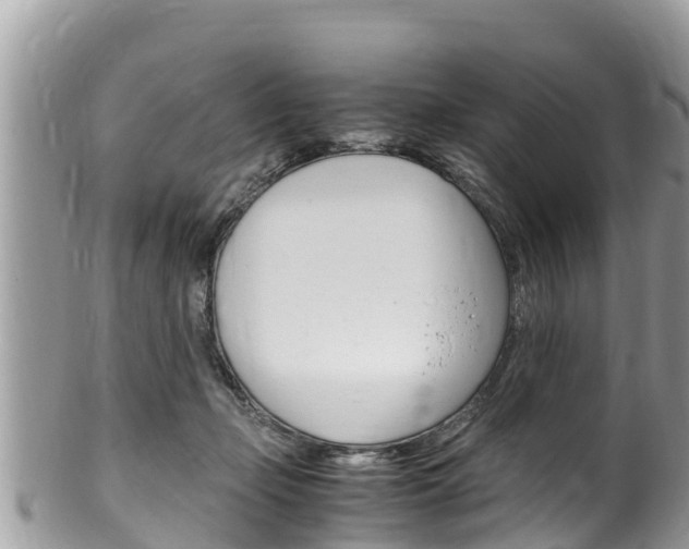 X0000100490365200806130801