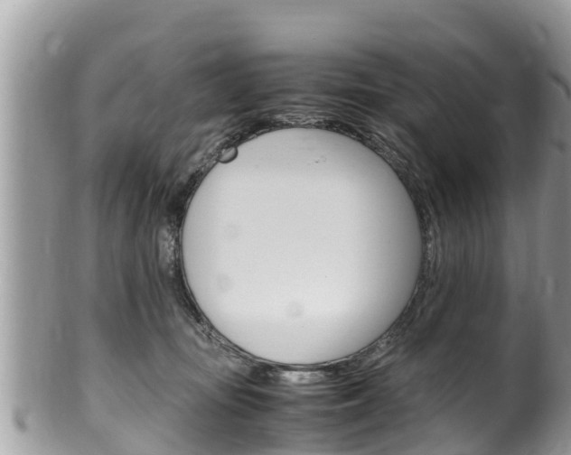 X0000100490371200806130801
