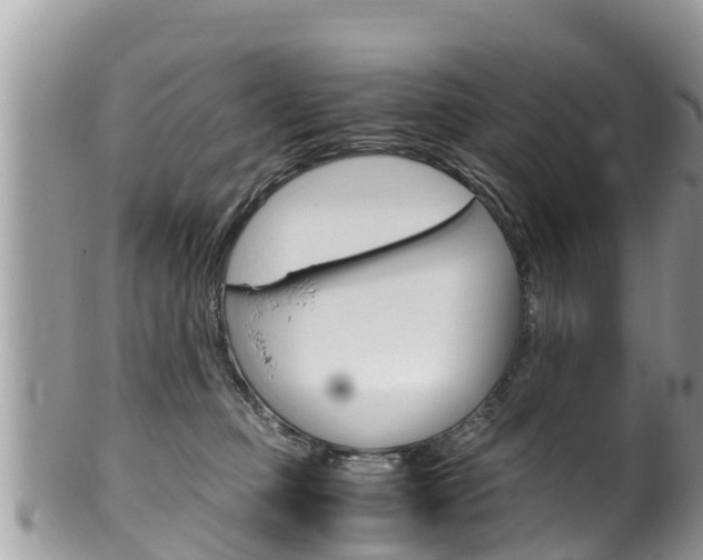 X0000100490373200806130801