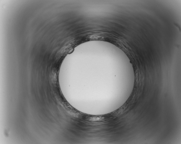 X0000100490375200806130801