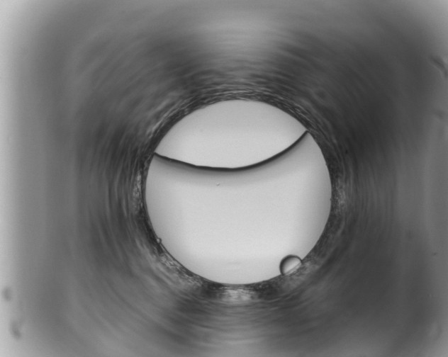 X0000100490376200806130801