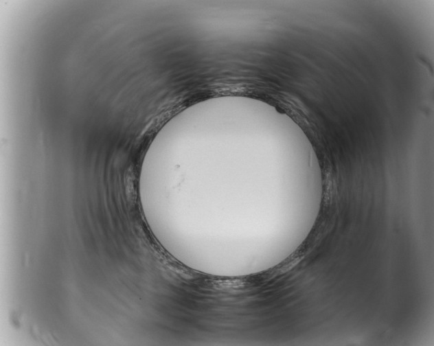 X0000100490377200806130801