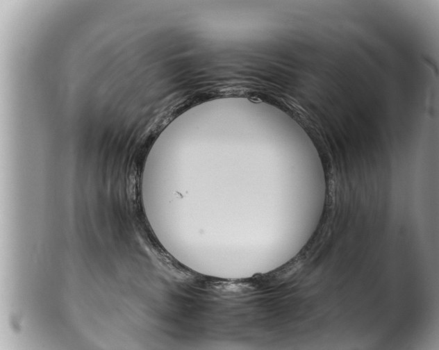 X0000100490379200806130801