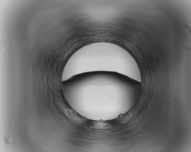 X0000100490380200806130801