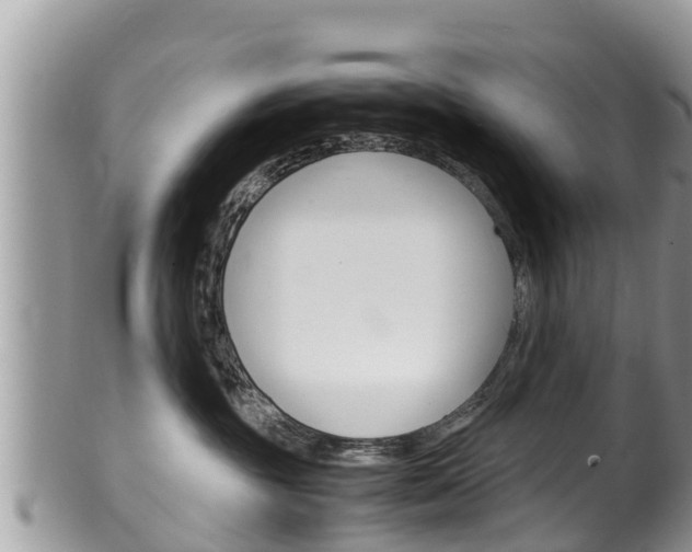 X0000100490381200806130801