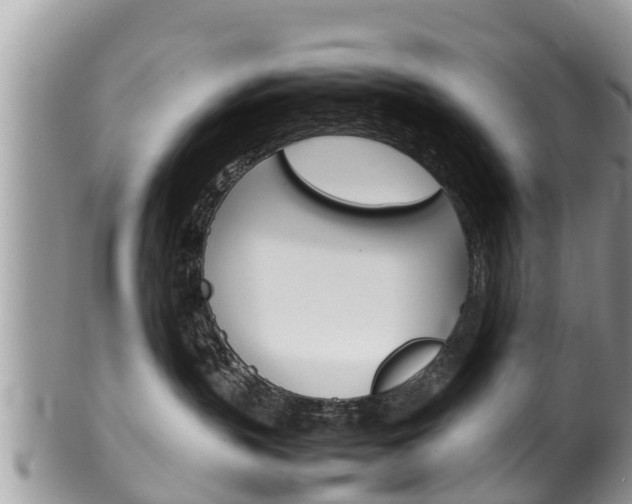 X0000100490383200806130801