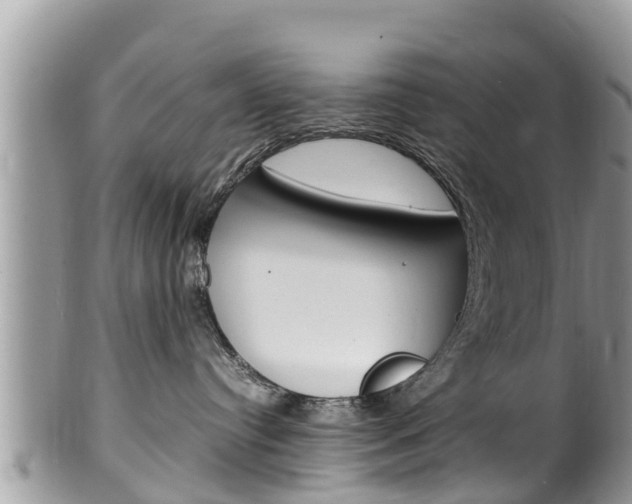 X0000100490384200806130801