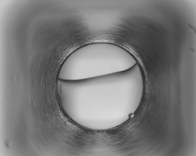 X0000100490385200806130800