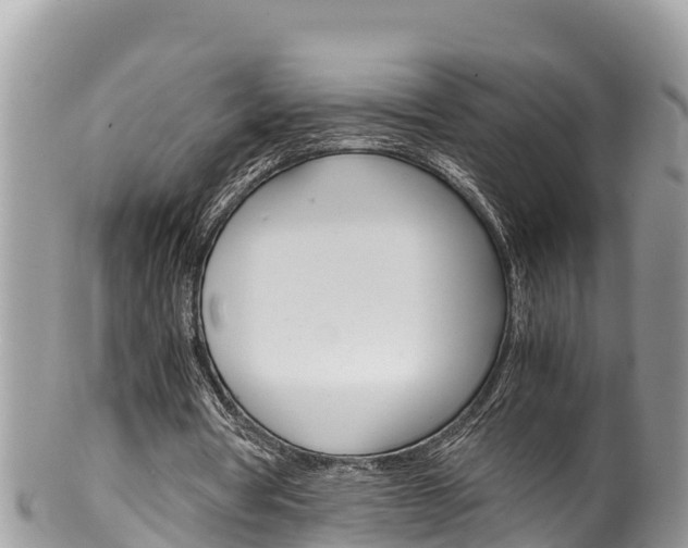 X0000100490386200806130800
