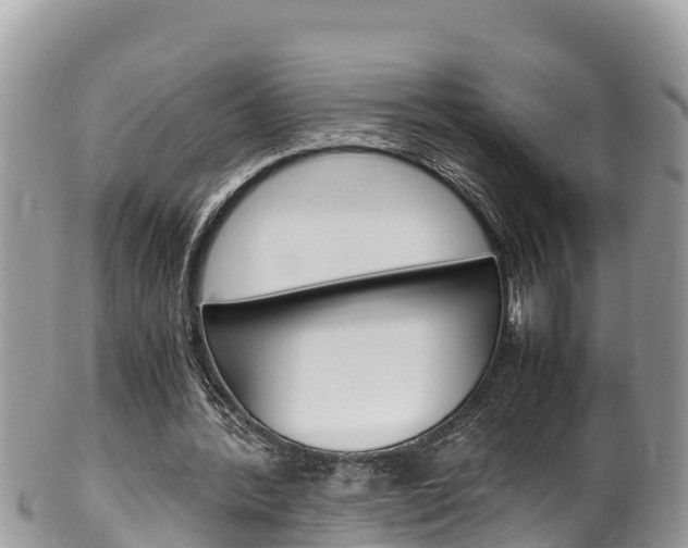 X0000100490388200806130800