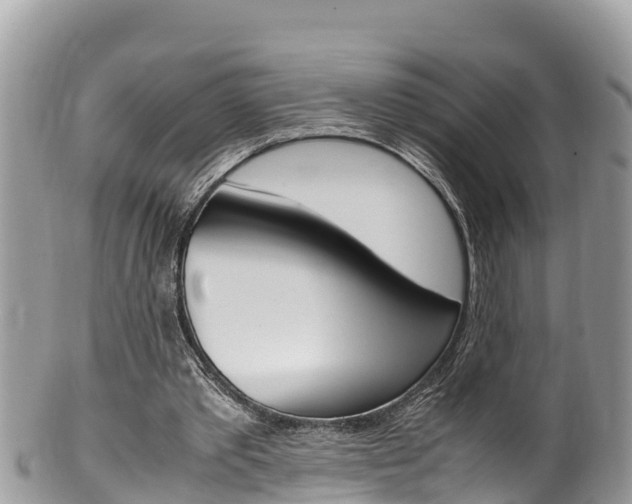X0000100490389200806130800