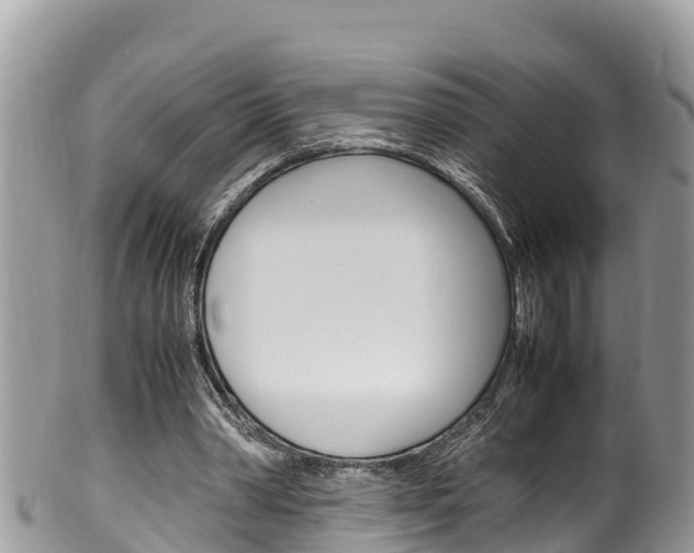 X0000100490390200806130800