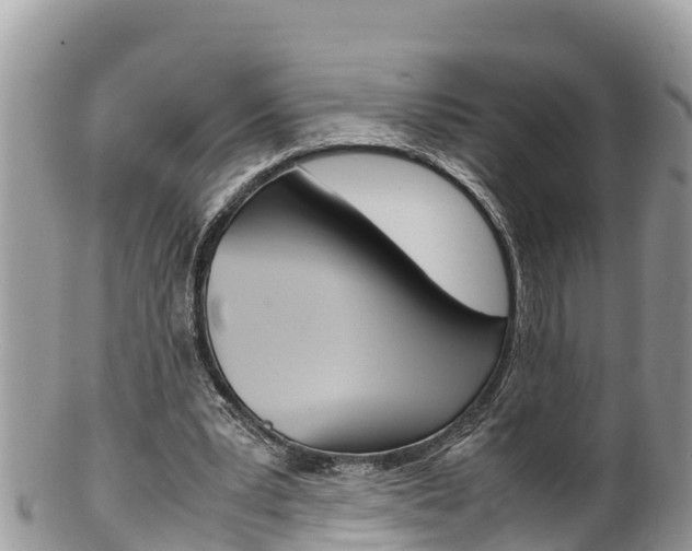X0000100490391200806130800