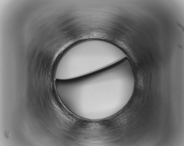 X0000100490392200806130800