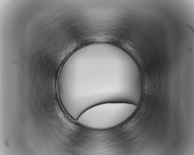 X0000100490394200806130800