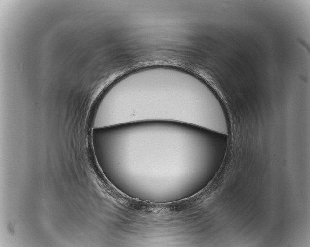 X0000100490395200806130800