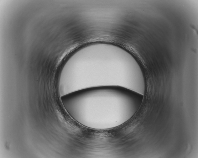 X0000100490396200806130800