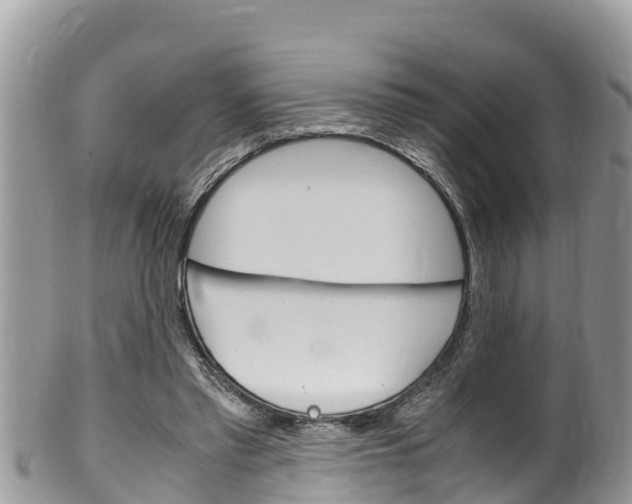 X0000100490397200806130800