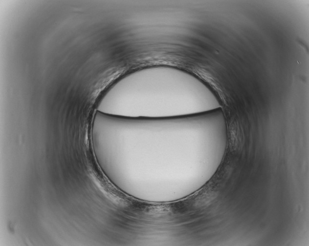 X0000100490398200806130800
